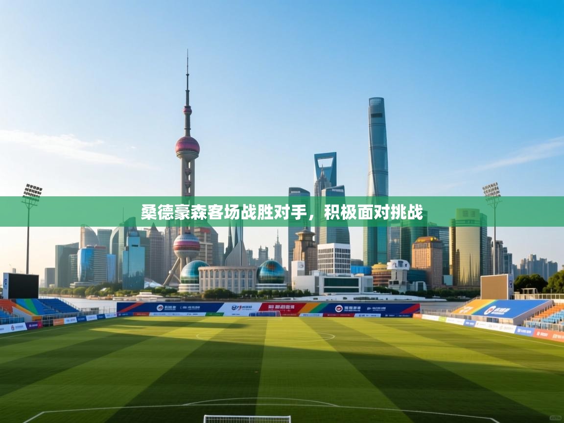 开云客服-桑德豪森客场战胜对手,积极面对挑战 第3张