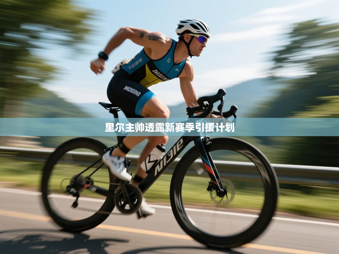 开云体育会员VIP开通-里尔主帅透露新赛季引援计划 第2张