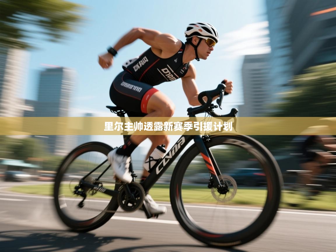 开云体育会员VIP开通-里尔主帅透露新赛季引援计划 第3张