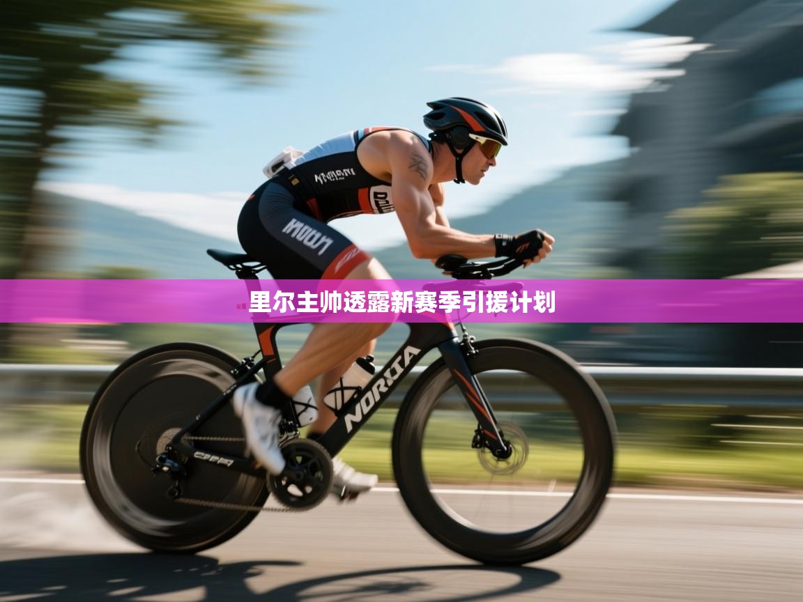 开云体育会员VIP开通-里尔主帅透露新赛季引援计划 第4张