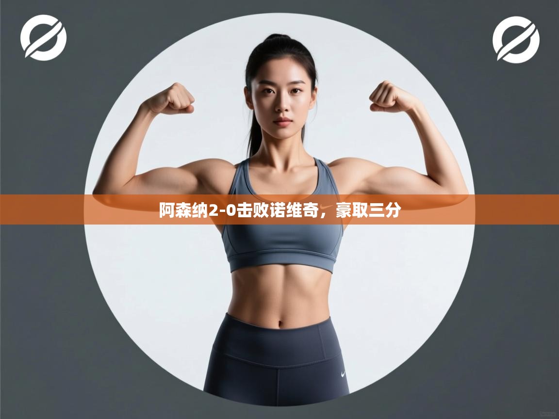 开云体育赛程表查询-阿森纳2-0击败诺维奇,豪取三分 第1张