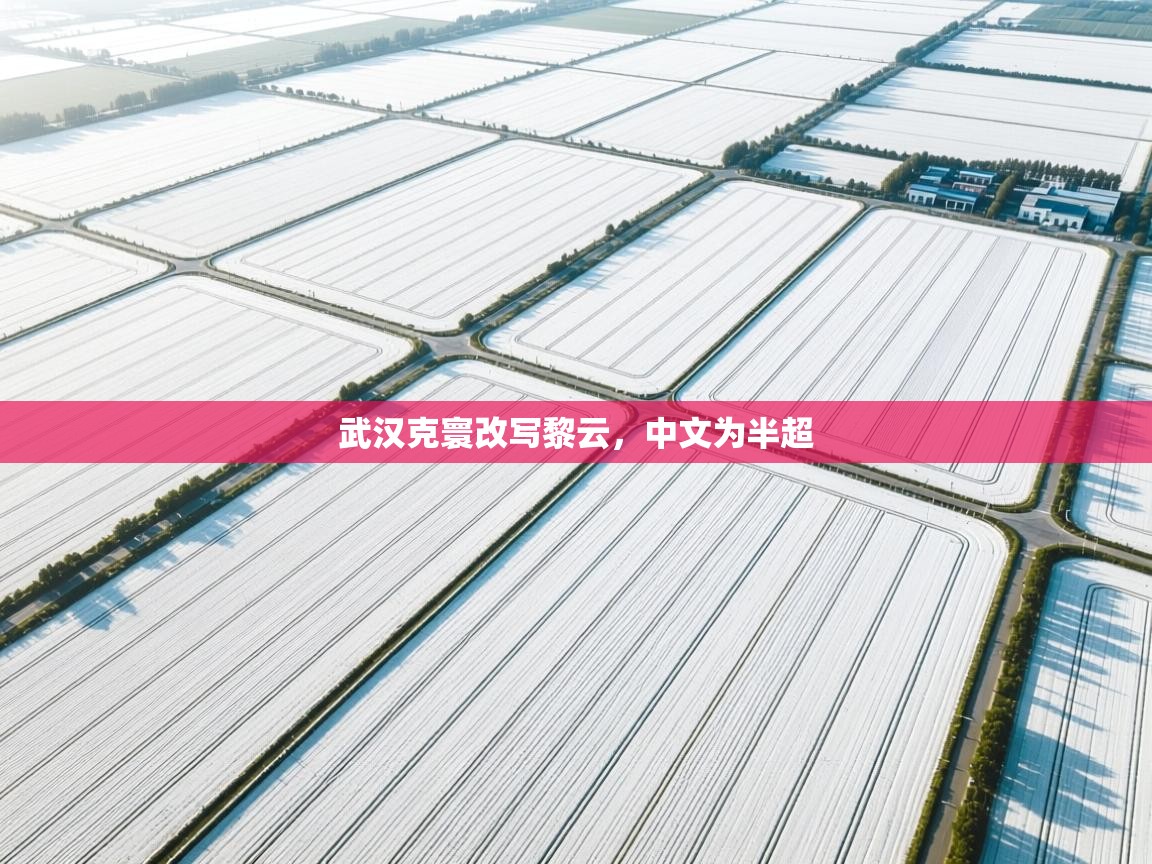 云开体育app登录入口-武汉克寰改写黎云,中文为半超 第1张