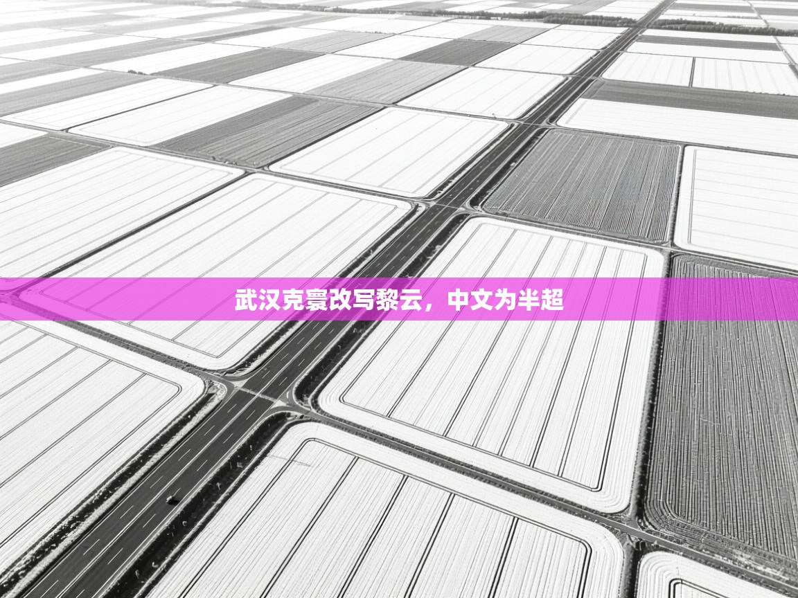 云开体育app登录入口-武汉克寰改写黎云,中文为半超 第3张