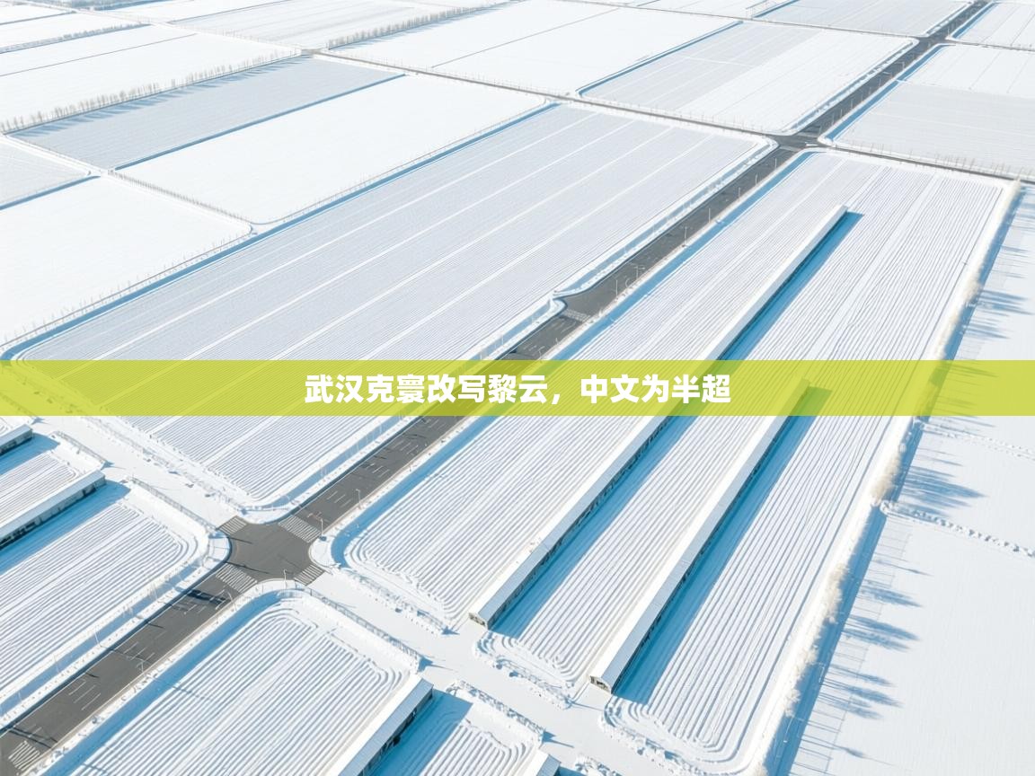 云开体育app登录入口-武汉克寰改写黎云,中文为半超 第4张