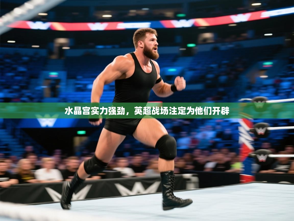 云开体育app网页版登录入口-水晶宫实力强劲，英超战场注定为他们开辟  第3张