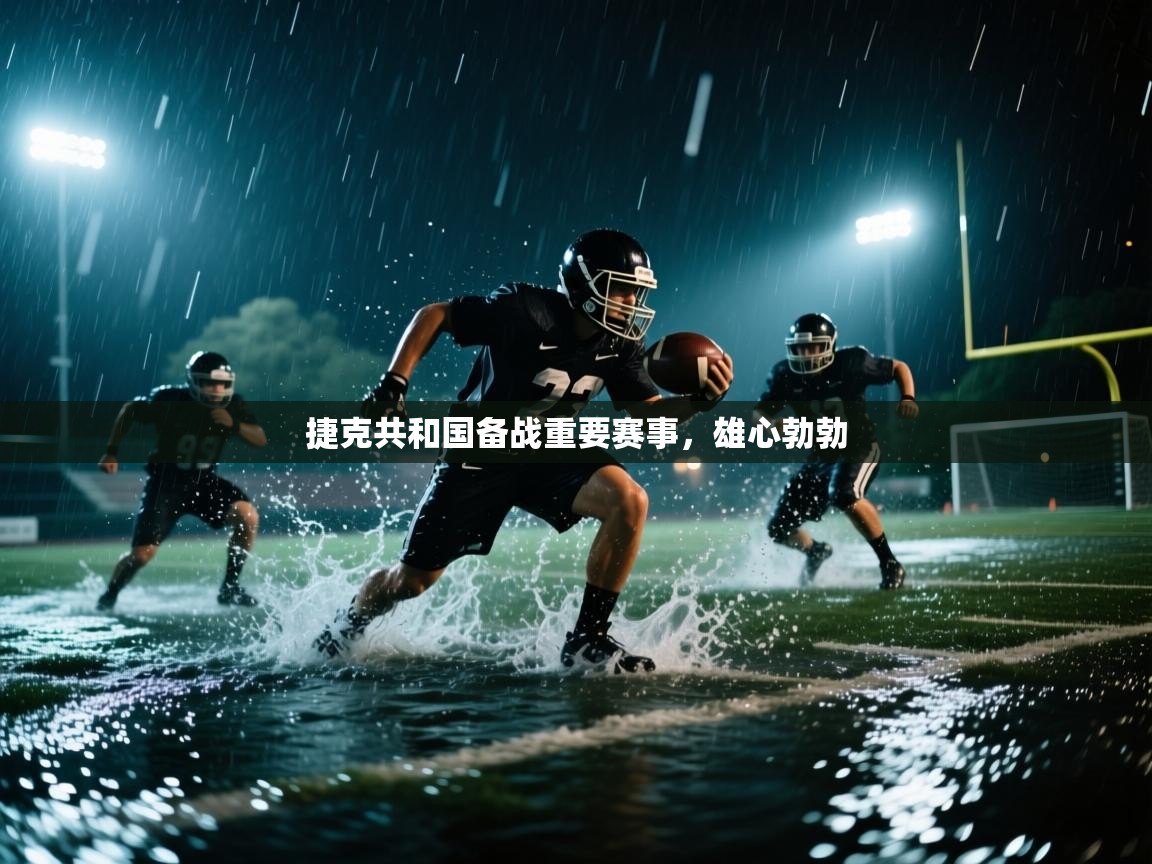 开云体育无法登录解决方案-捷克共和国备战重要赛事，雄心勃勃  第3张